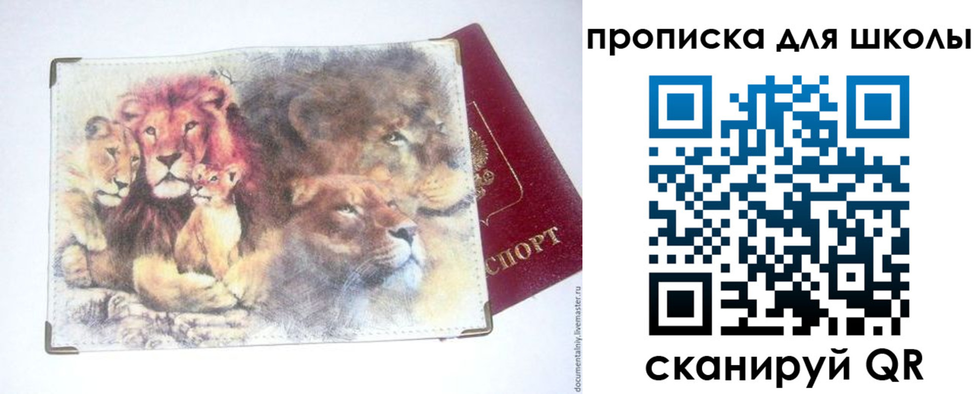временная регистрация гарантия в Котово