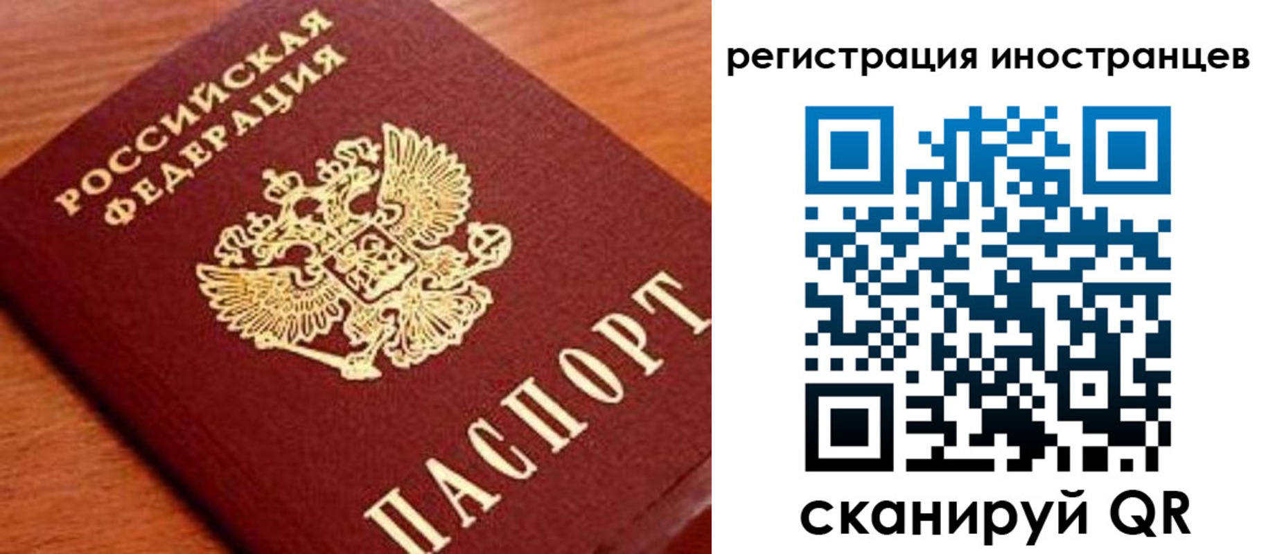 временная регистрация поиск в Котово